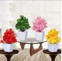 4 Pcs Planter Set